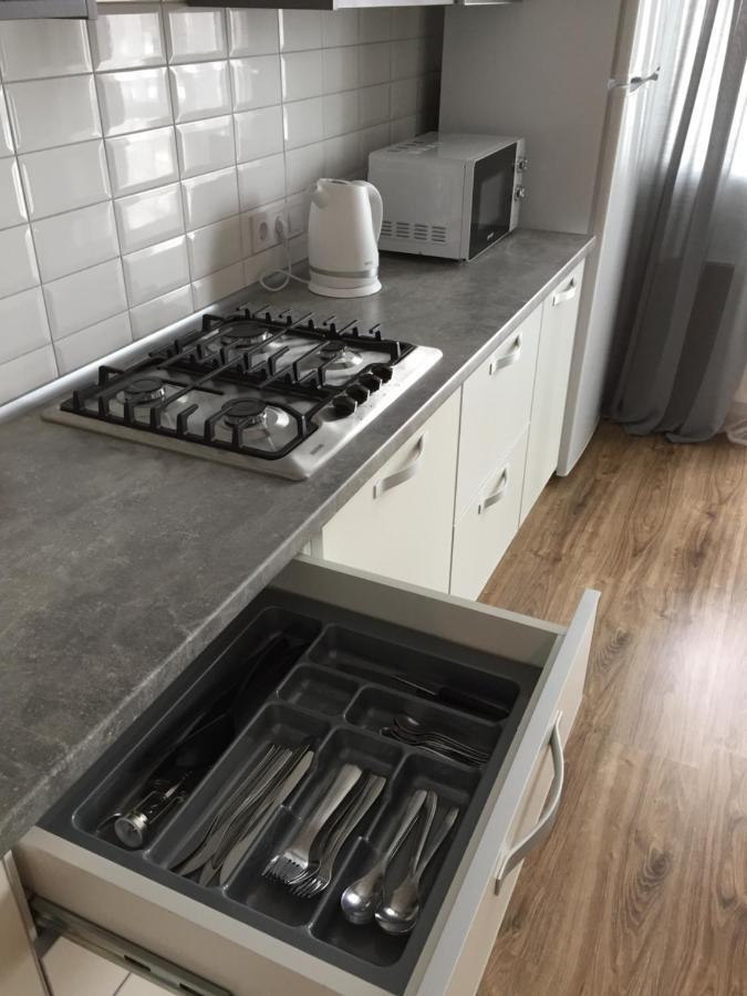 Scandinavian Apartment Lvov Exteriér fotografie